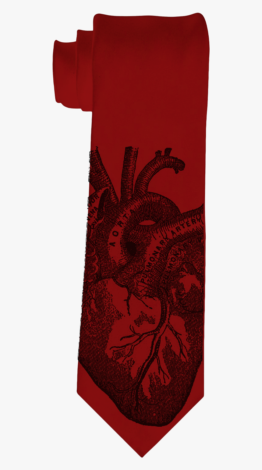 Anatomical Heart Tie, HD Png Download