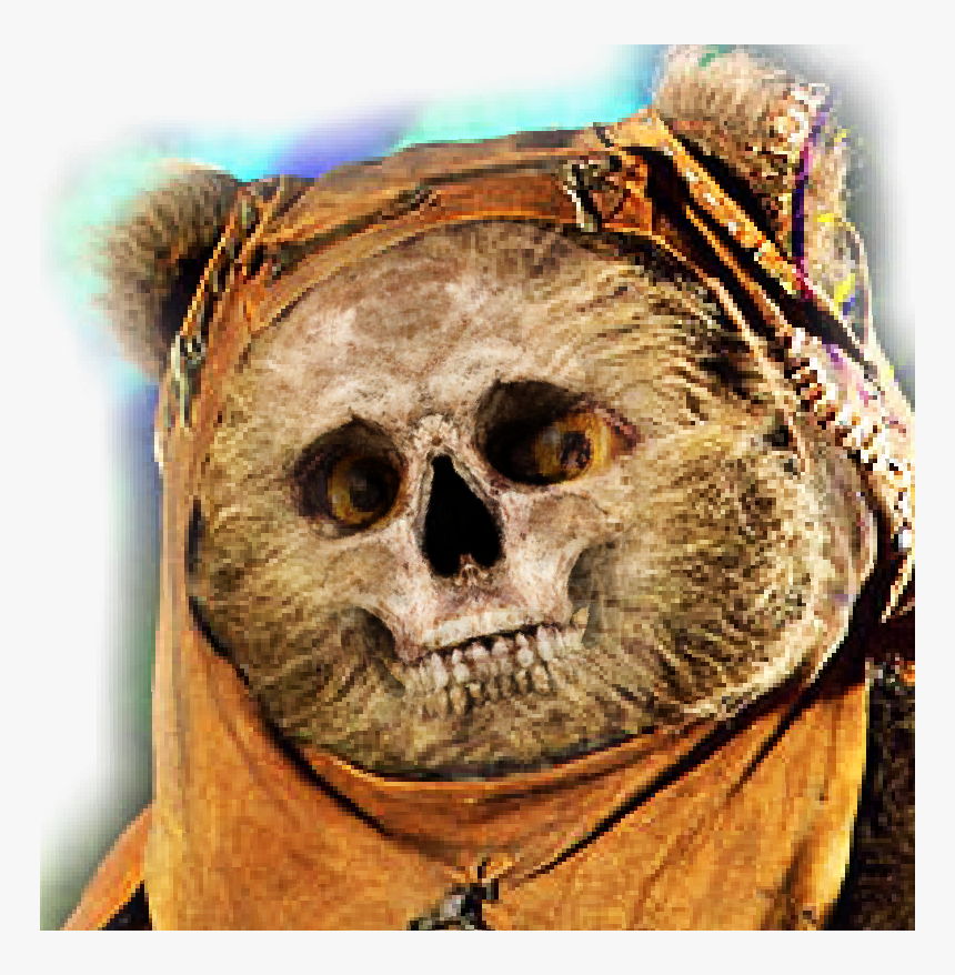 Funny Ewok, HD Png Download