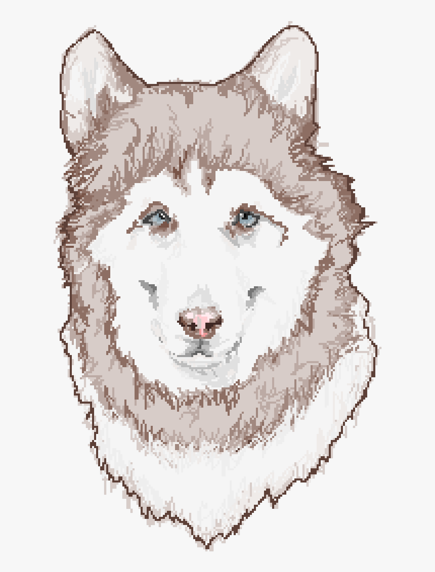 Mackenzie River Husky, HD Png Download