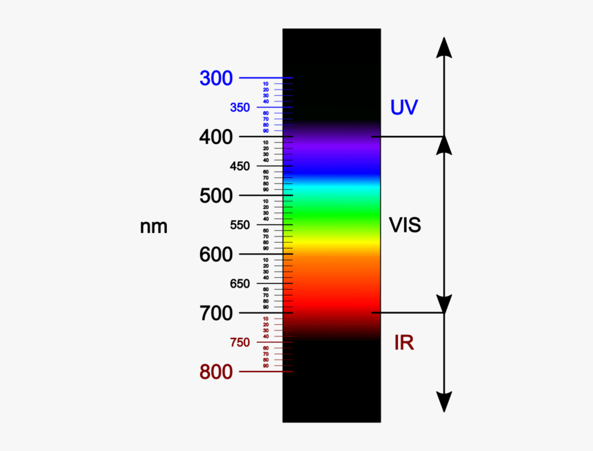 Closest Light Outside The Visible Spectrum, HD Png Download