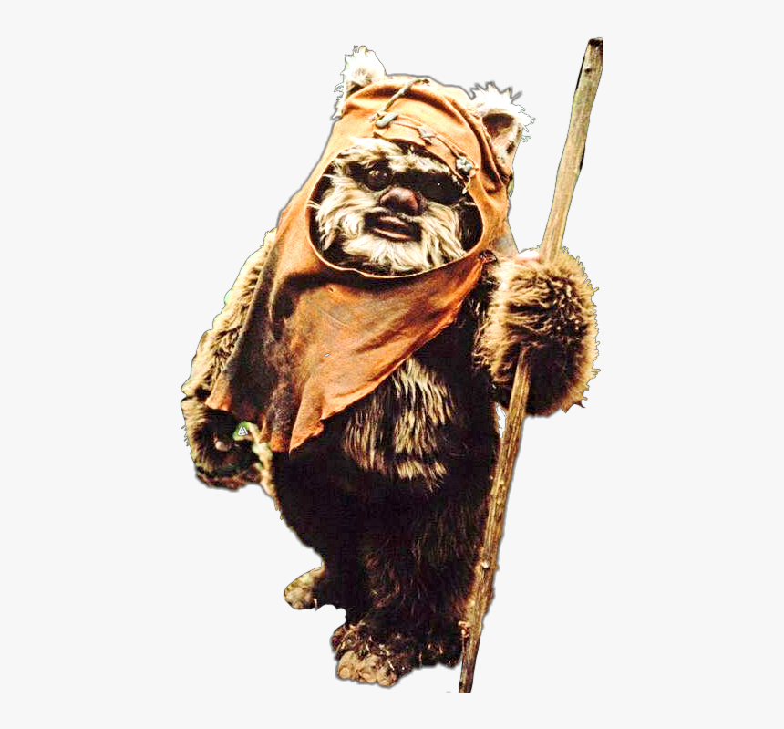 Star Wars Mini Bears, HD Png Download