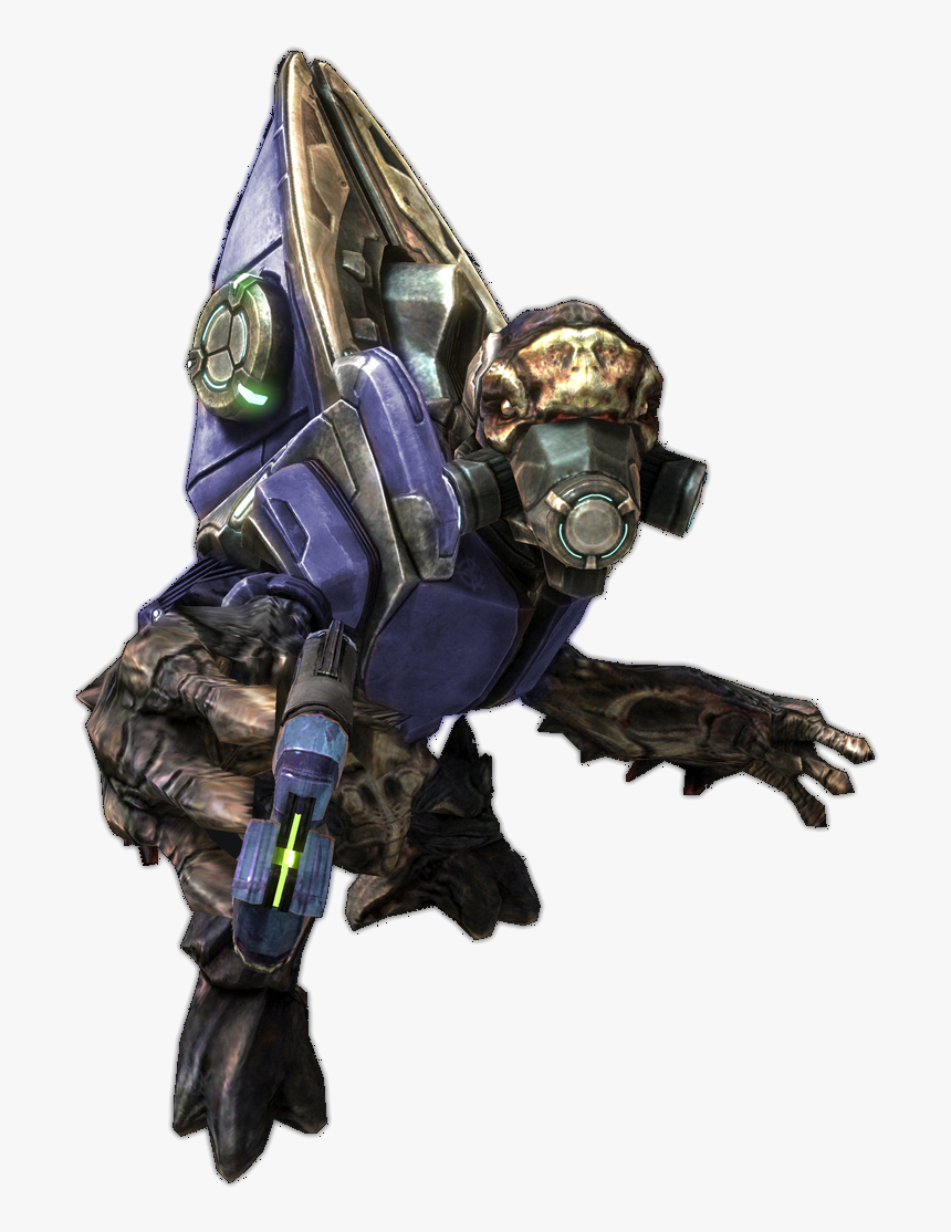 No Caption Provided - Halo Grunt Png, Transparent Png