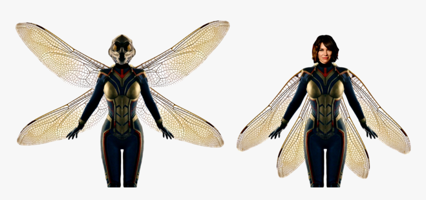 Wasp Ant Man And The Wasp Png, Transparent Png