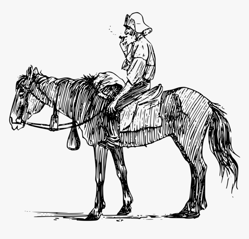 Transparent Ants Clipart Black And White - Man On Horseback Drawing, HD Png Download