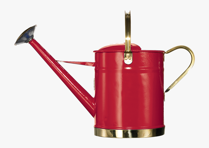 Wall Vines Png, Transparent Png