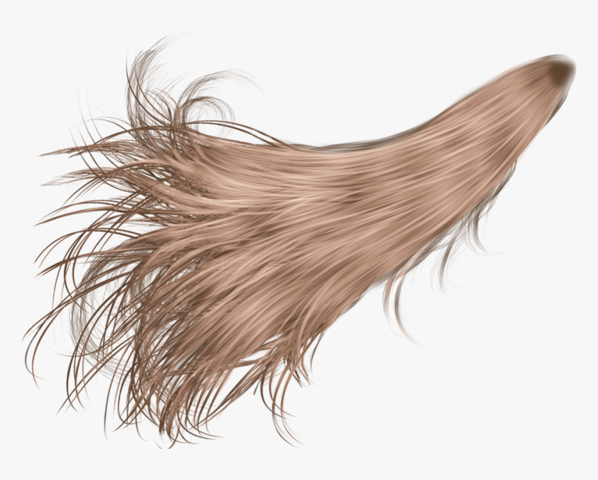 White Hair Png , Png Download - Transparent Pony Tail, Png Download