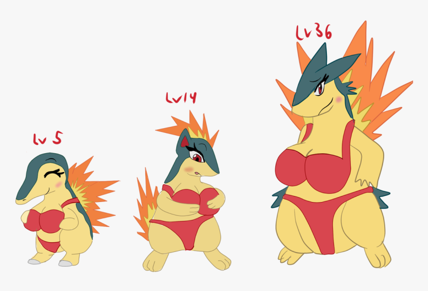 Evolution Of Cyndaquil - Cyndaquil Evolution, HD Png Download