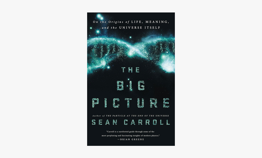 Ponytail Culture Club - Big Picture On The Origins Of Life Meaning And The, HD Png Download