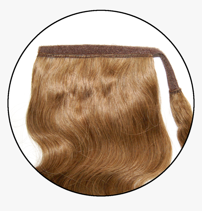 Ponytail Png, Transparent Png