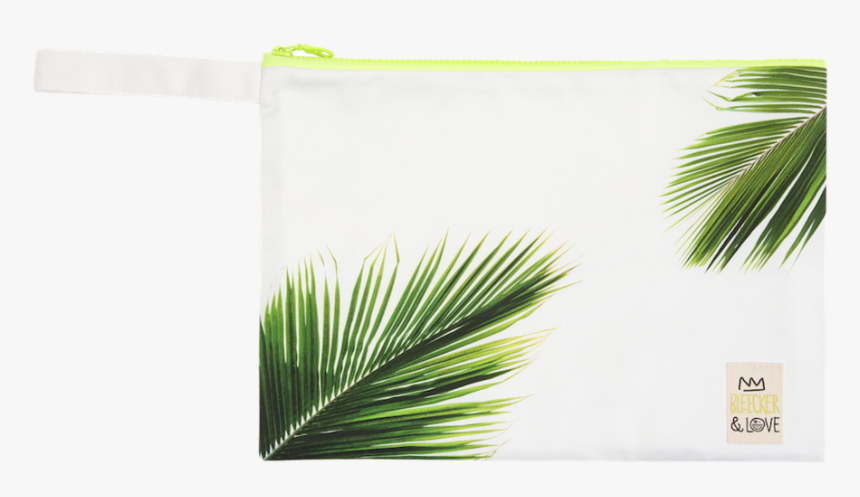 Palmera - Saw Palmetto, HD Png Download