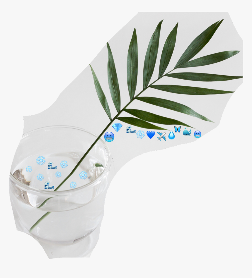 #blue #emoji #challenge #water #nature #plants #stayhydrated - Green Palm Leaf Png, Transparent Png