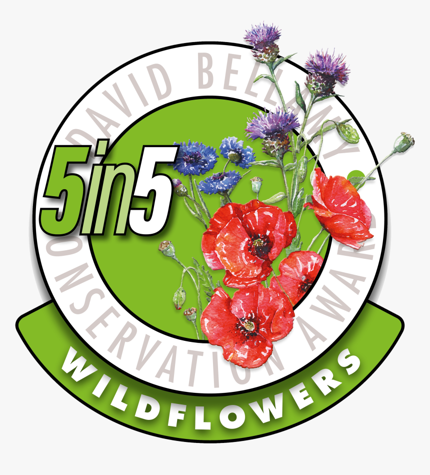 Transparent Holiday Border Png - David Bellamy, Png Download