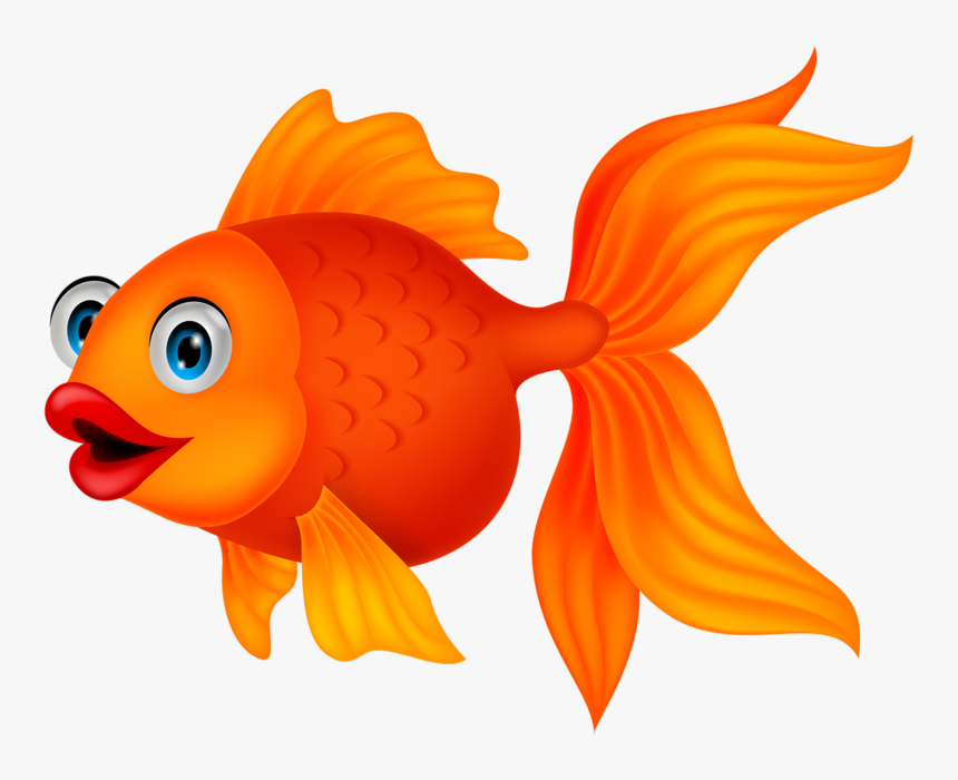 Png Pinterest Fe - Goldfish Clipart Png, Transparent Png