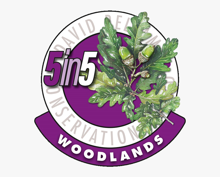 Leaf Vegetable, HD Png Download