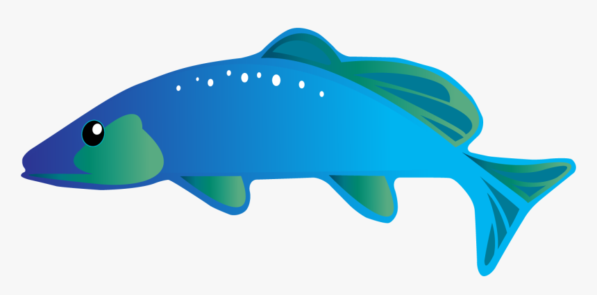 Whale, HD Png Download