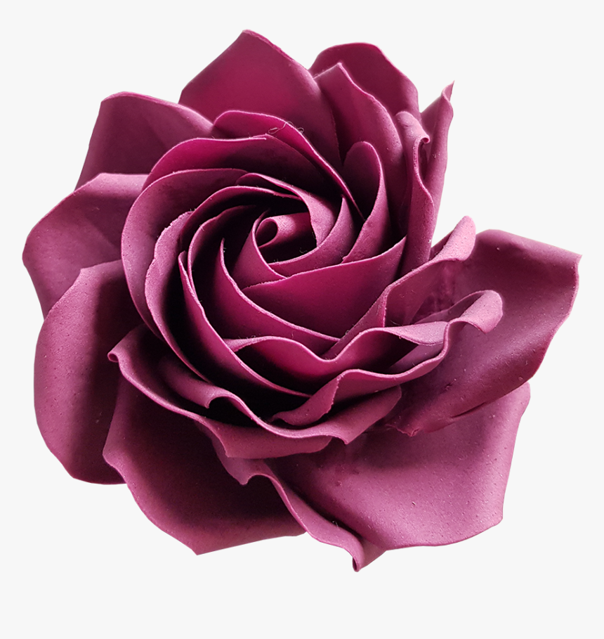 Garden Roses, HD Png Download