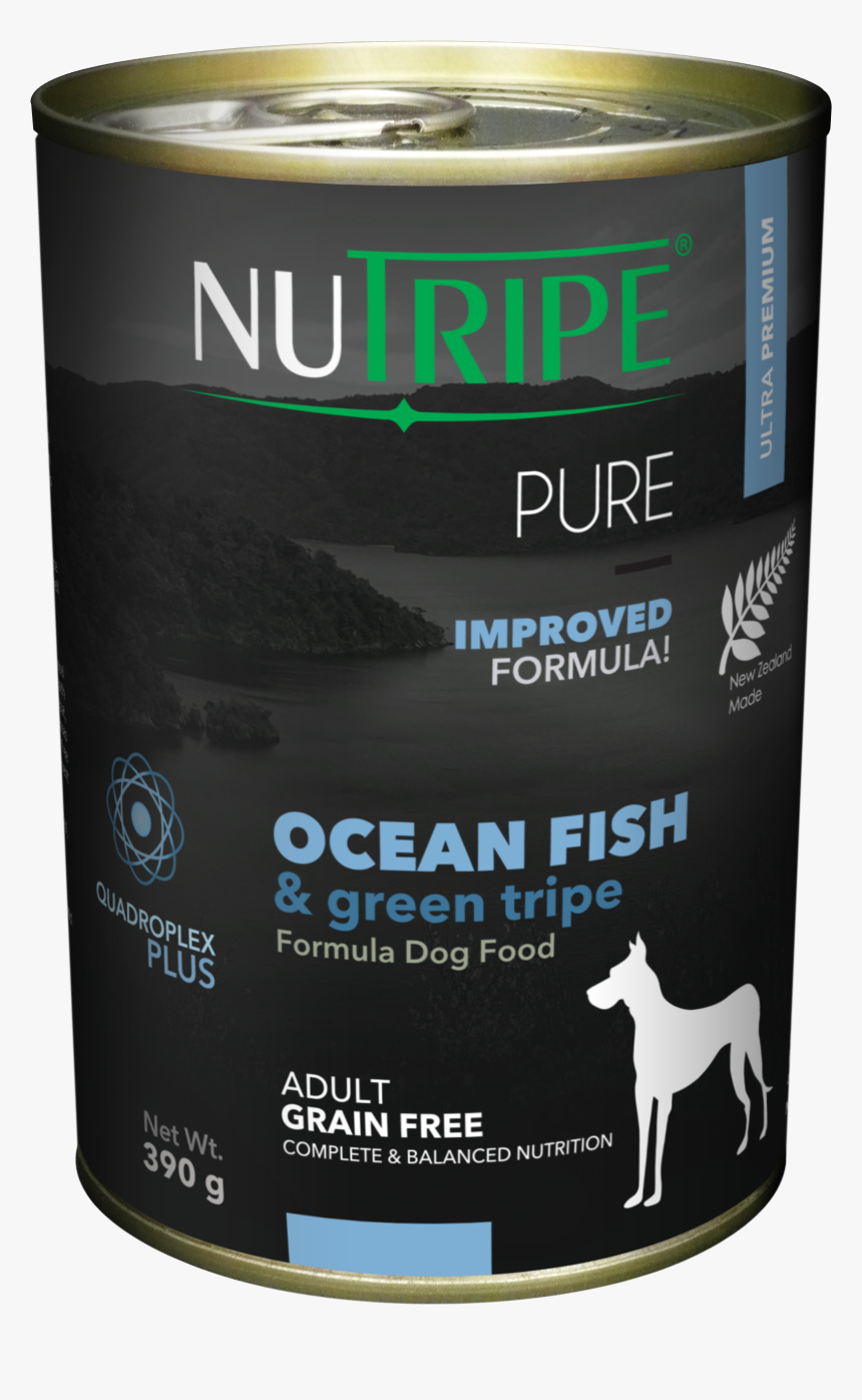 Ocean Fish Png, Transparent Png