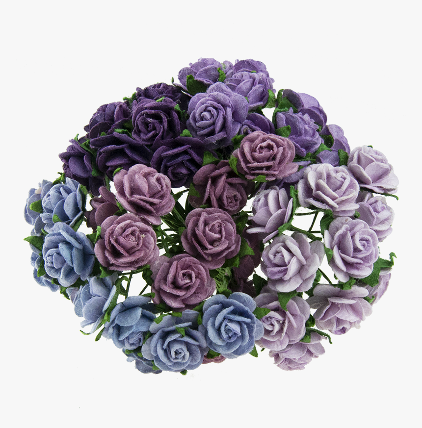 Floribunda, HD Png Download