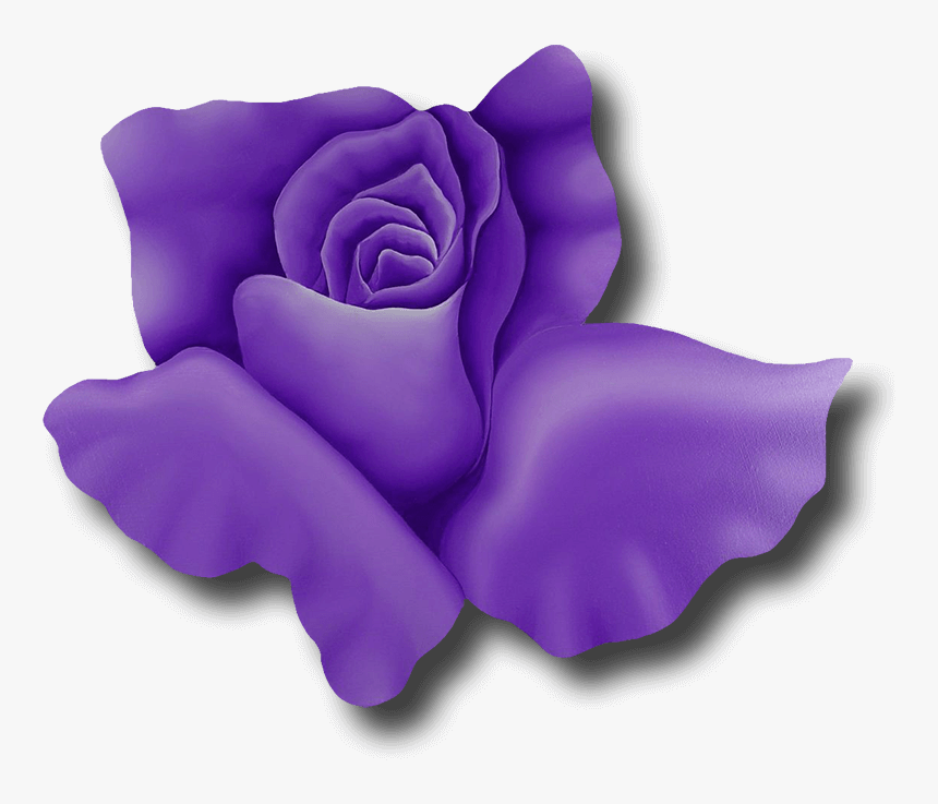 Tribute To Florida, HD Png Download