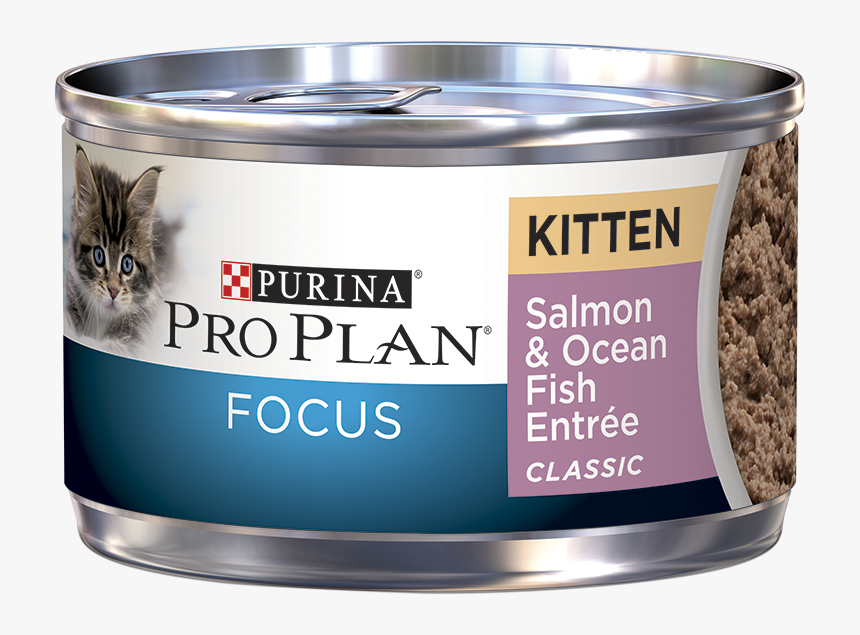 Ocean Fish Png, Transparent Png