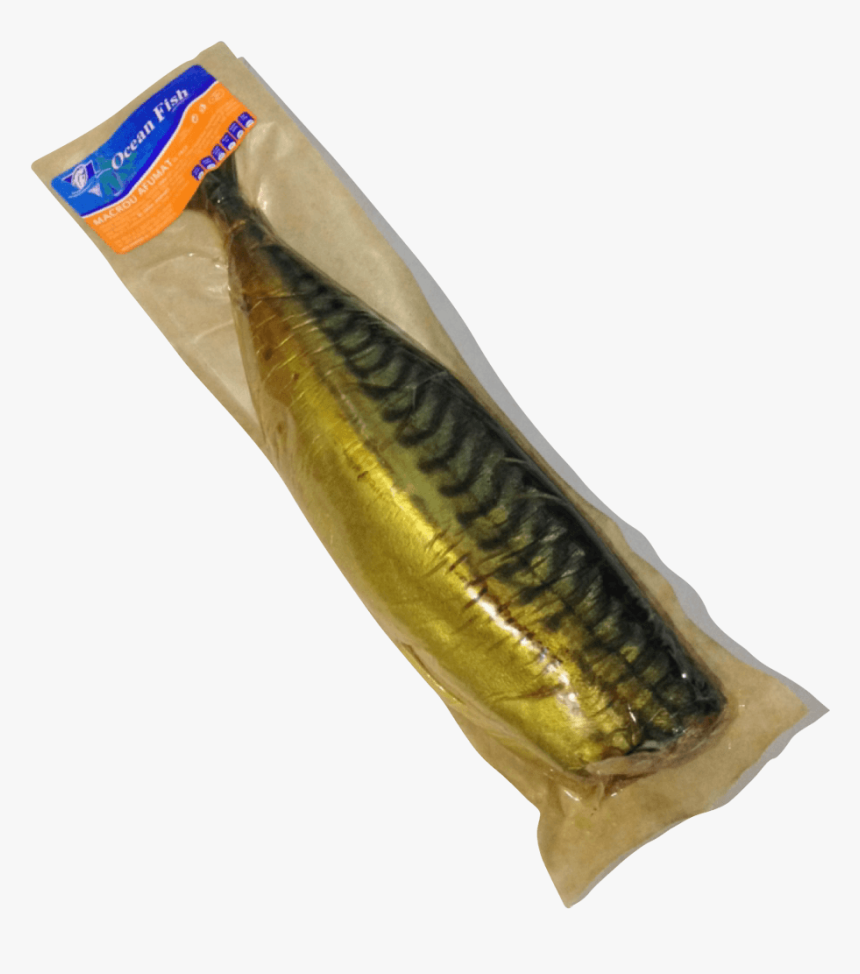 Beloniformes, HD Png Download