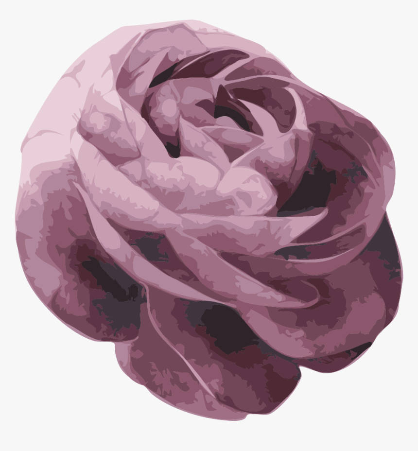 Dahlia, HD Png Download