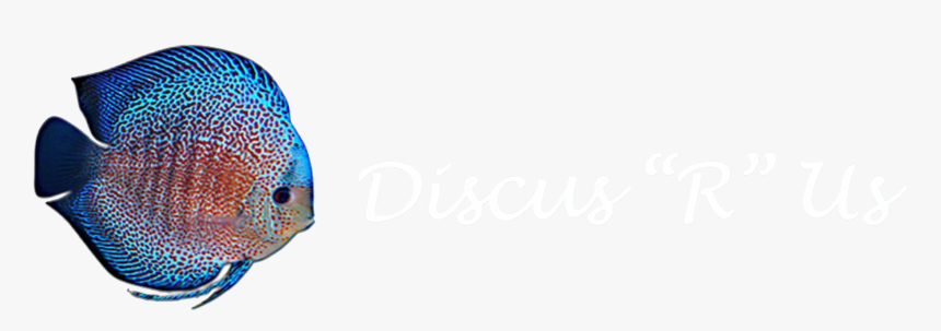 Goaltender Mask, HD Png Download