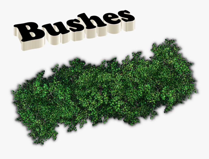 Bushes Png Images - Hedge, Transparent Png