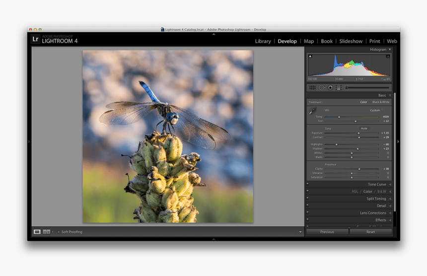 Whitebalance - Lightroom Contrast, HD Png Download