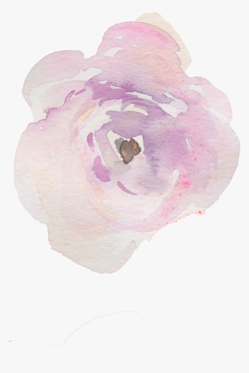 Clip Art Pink Camellia Bush - Impatiens, HD Png Download