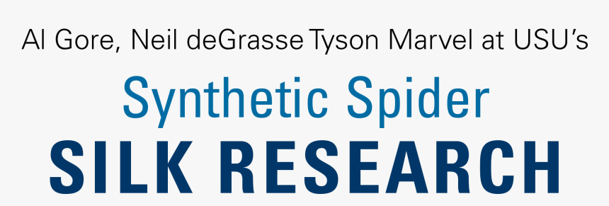 Spider Silk - Printing, HD Png Download