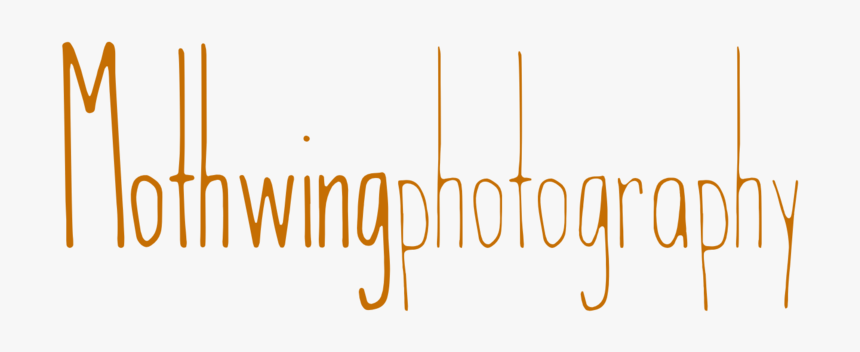 Mothwing Photography - Calligraphy, HD Png Download
