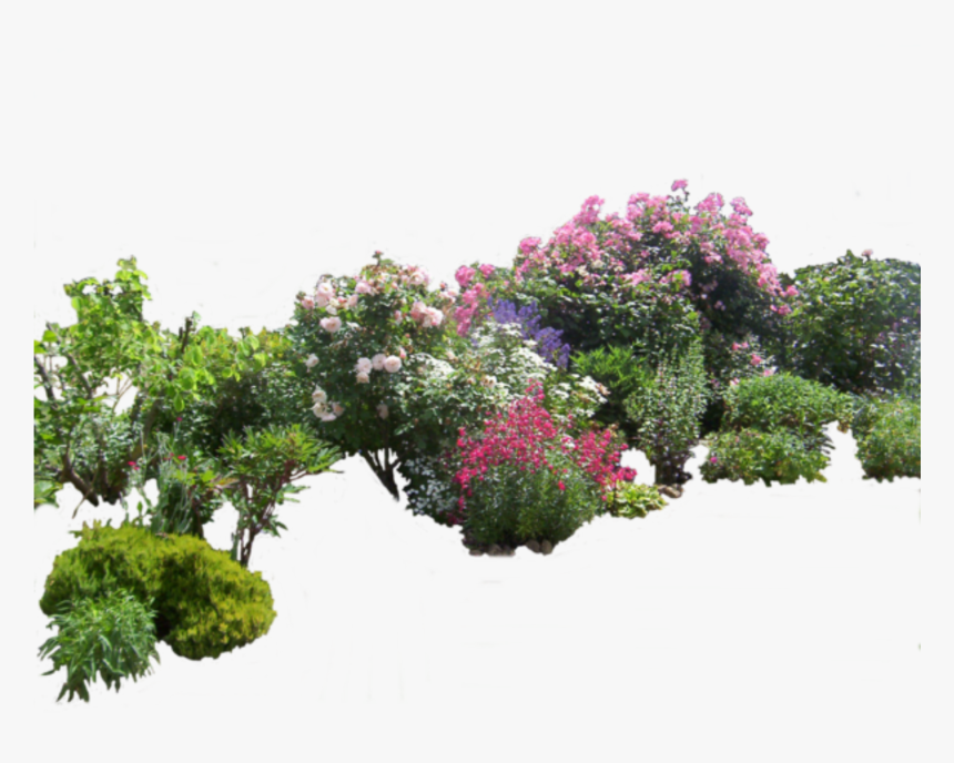 #flowers #bush #bushes #garden @ladymariacristina - Garden Png, Transparent Png