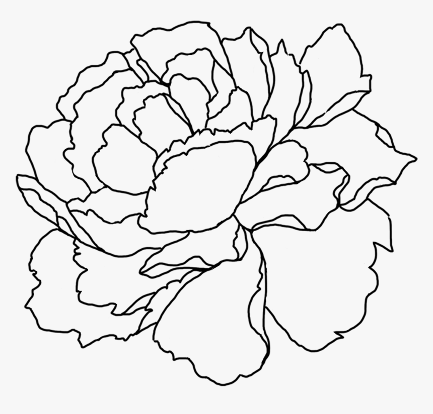 Sign Up To Join The Conversation - Flower Line Art Png Peony, Transparent Png