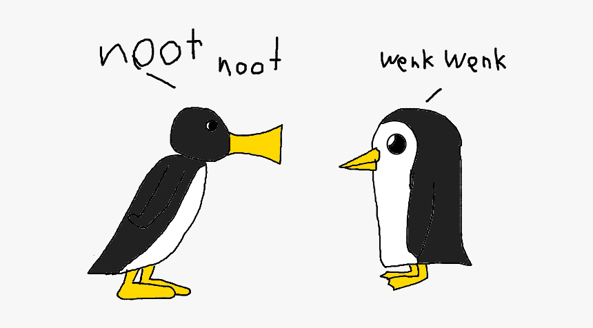 Hoo Penguin Bird Beak Penguin Vertebrate Flightless - Noot Noot Vs Gunter, HD Png Download