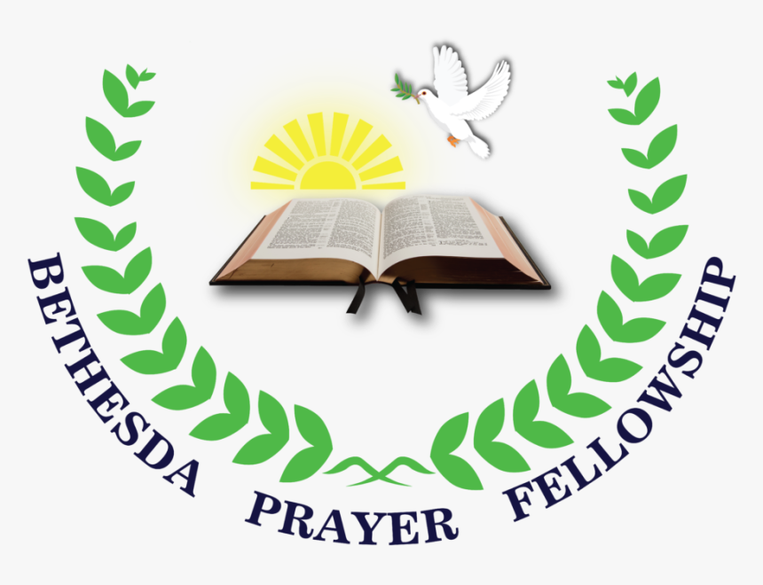 World Branding Awards Logo, HD Png Download