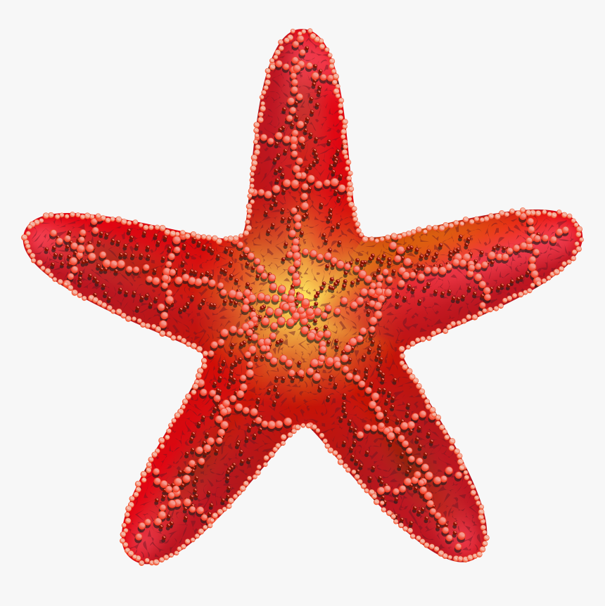 Starfish Silhouette Png, Transparent Png