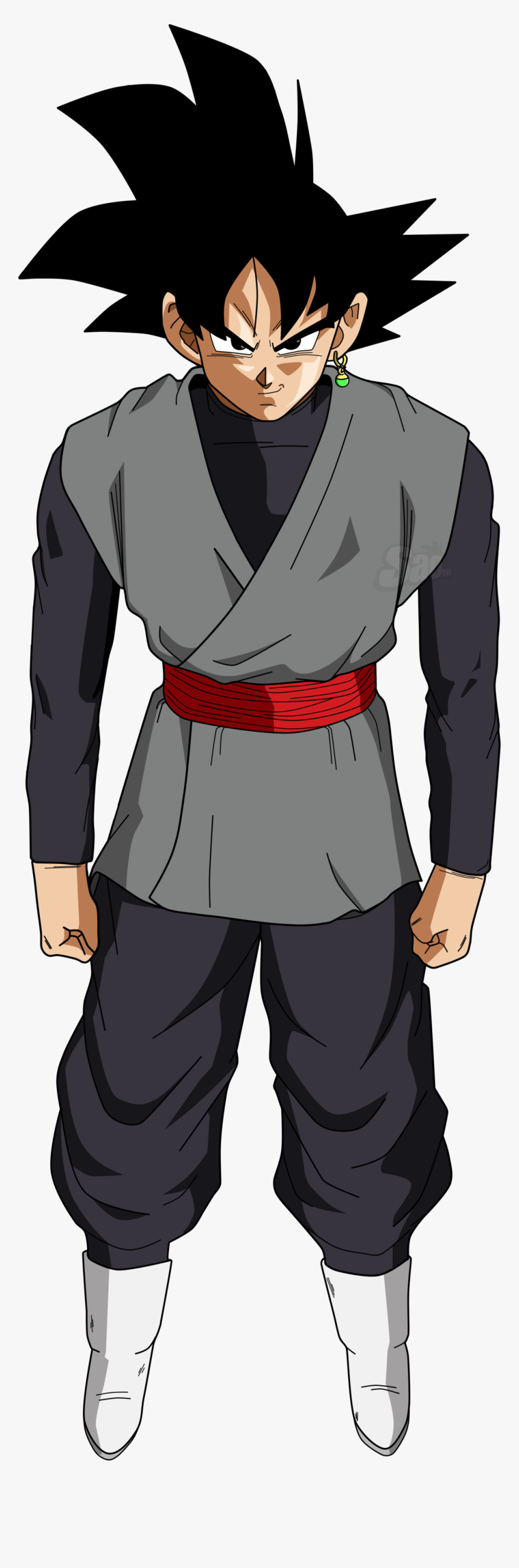 Pandapedia - Zamasu In Goku's Body, HD Png Download