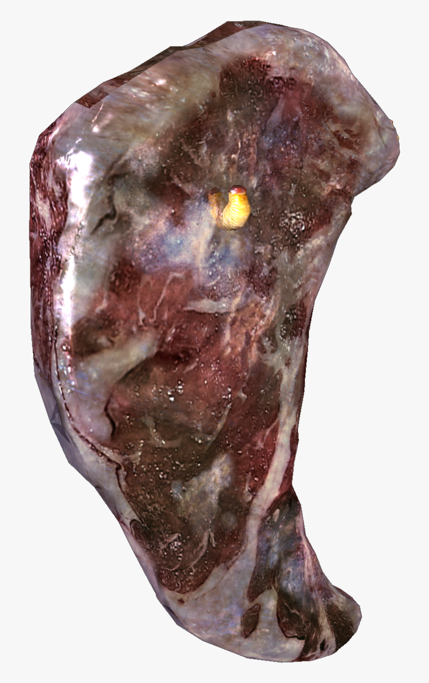 Black Ops 2 Zombie Meat, HD Png Download