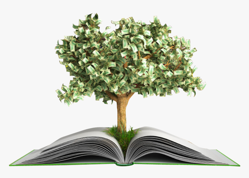 1dsp 201802 Edu004 - Open Book With Tree, HD Png Download