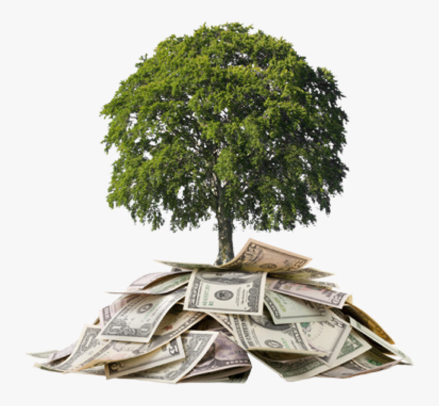 Дерево инвестиции. Дерево из денег. Доллар грязная зеленая бумажка. Money threes. Дерево из денег.