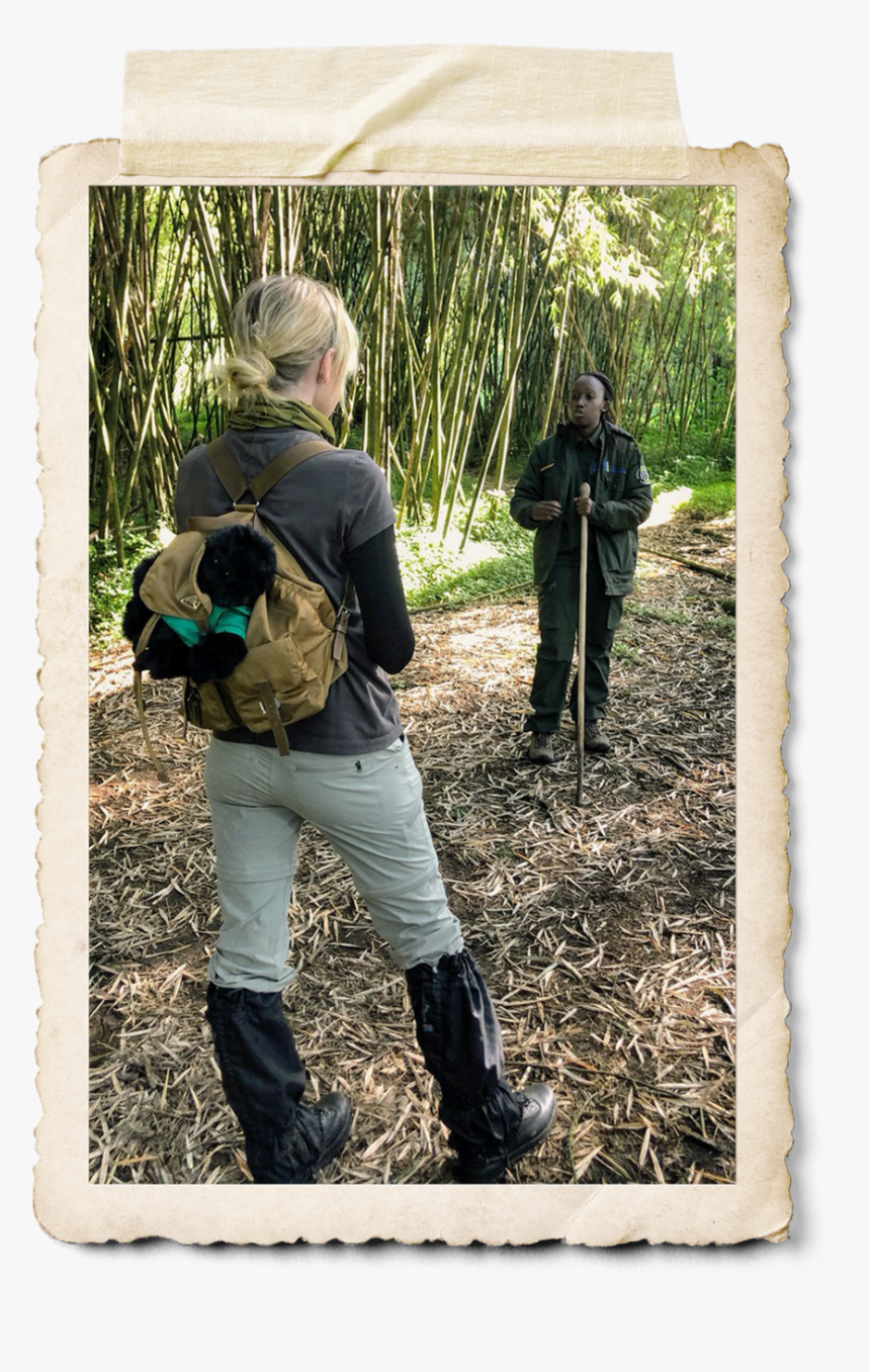 Transparent Aaron Rodgers Png - Picture Frame, Png Download