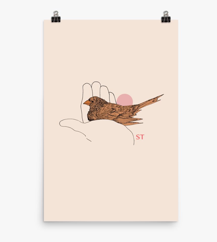 Brown Thrasher , Png Download - Illustration, Transparent Png