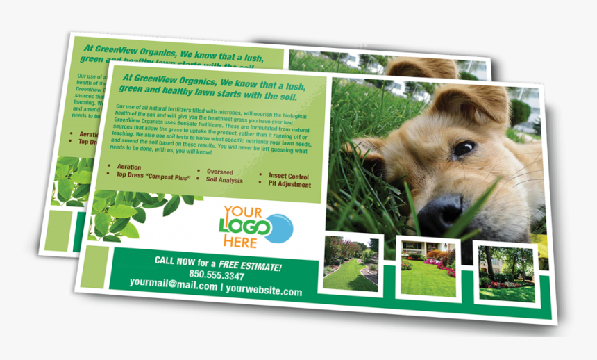 Postcard Png Clipart - Companion Dog, Transparent Png