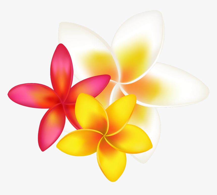 Tropical Flower Clipart Png Transparent Png , Png Download - Orange Tropical Flower Drawing, Png Download