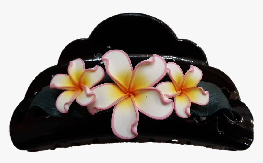 Jennibeans Hair Clip - Frangipani, HD Png Download