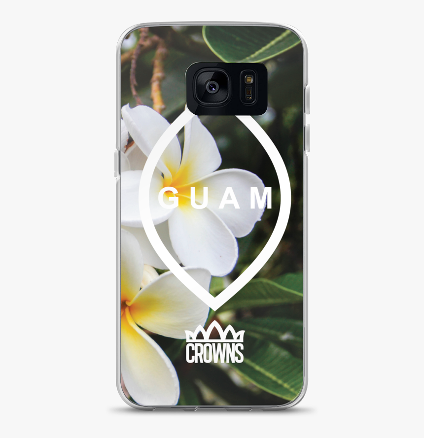 Frangipani, HD Png Download