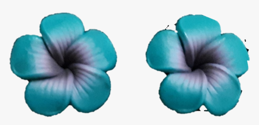 Jennibeans Mini Plumeria Earrings - Hawaiian Hibiscus, HD Png Download