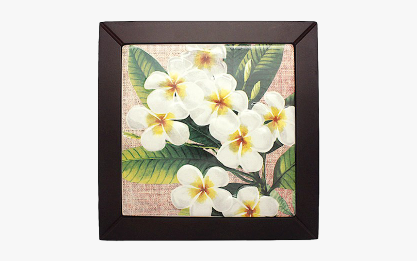 Trillium, HD Png Download