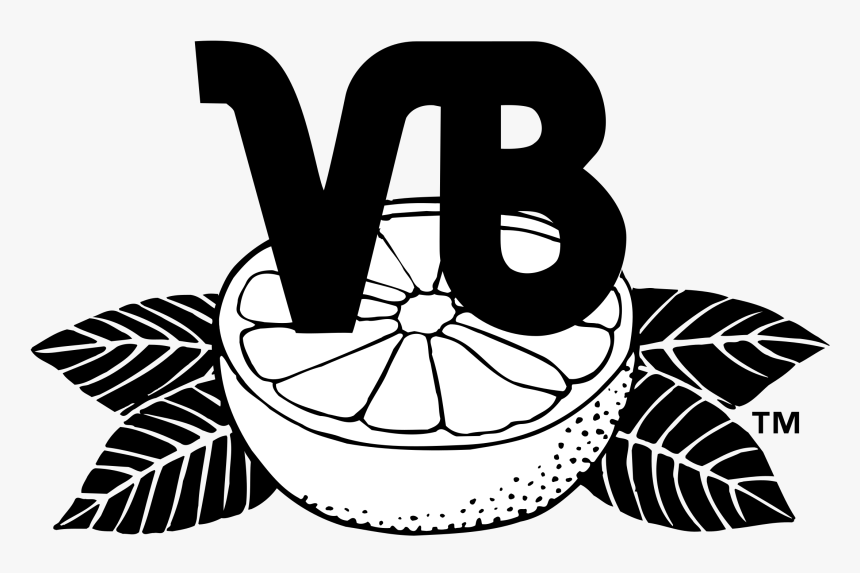 Vero Beach Dodgers Logo Png Transparent - Vero Beach Devil Rays, Png Download